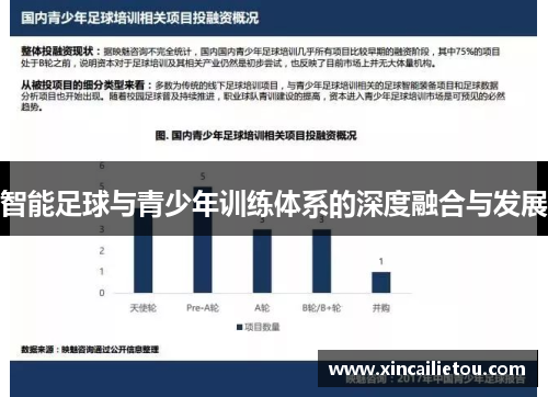智能足球与青少年训练体系的深度融合与发展